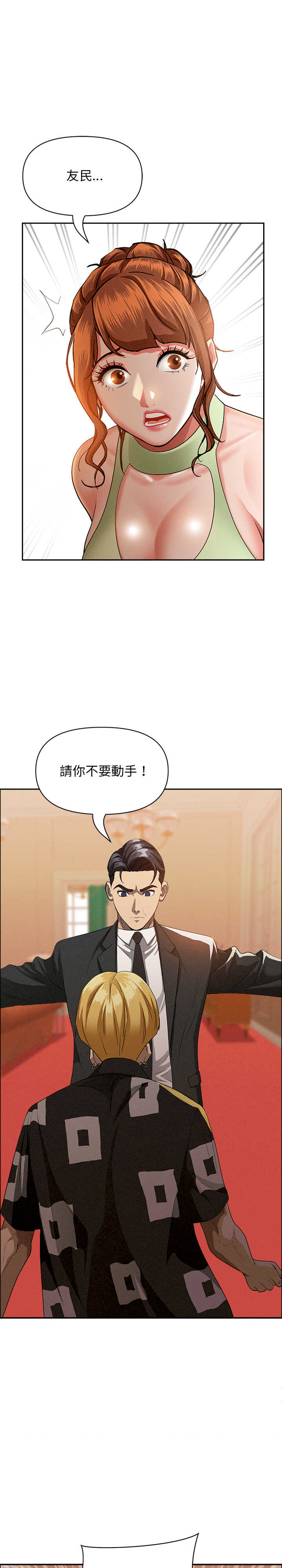 贵妇的专属保镖