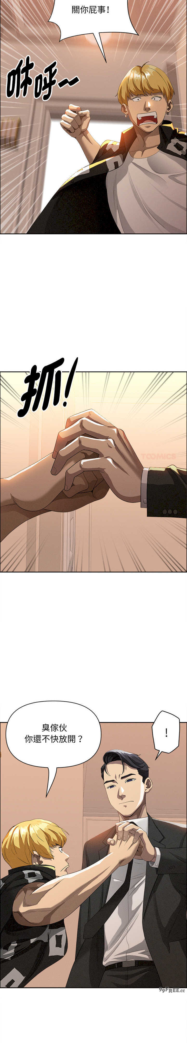 贵妇的专属保镖