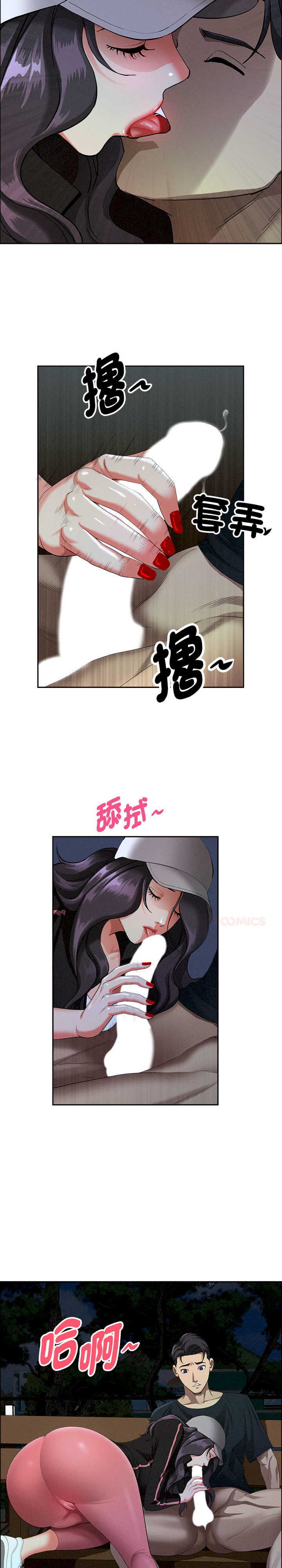 贵妇的专属保镖