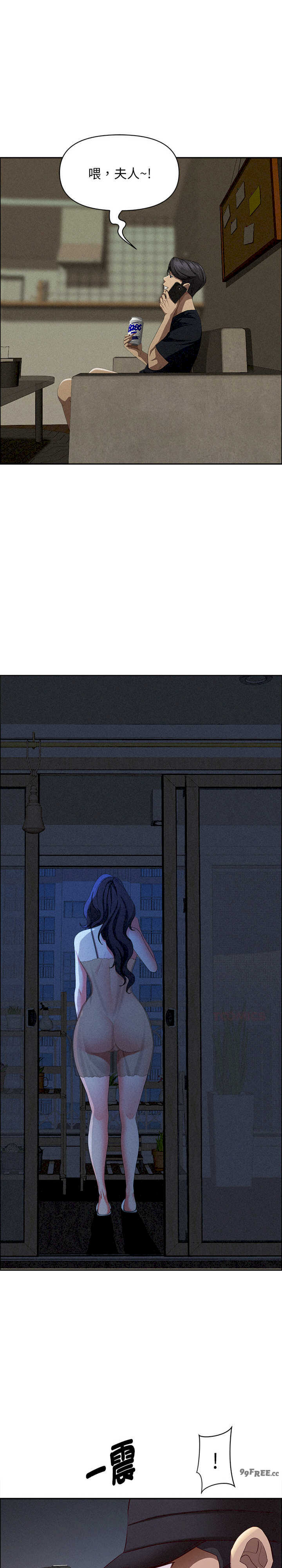 贵妇的专属保镖