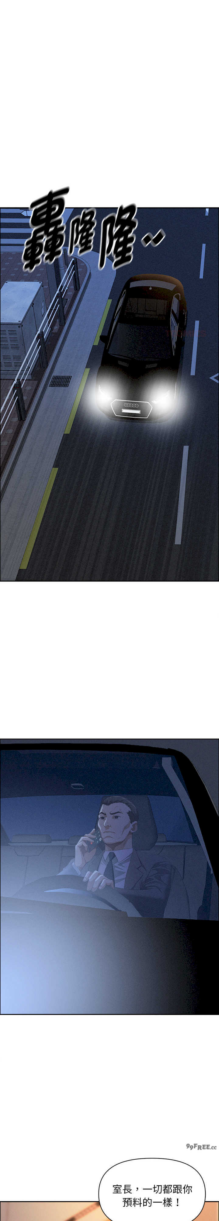 贵妇的专属保镖