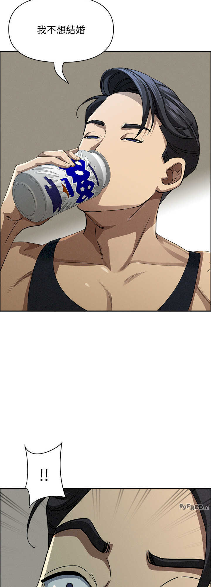 贵妇的专属保镖