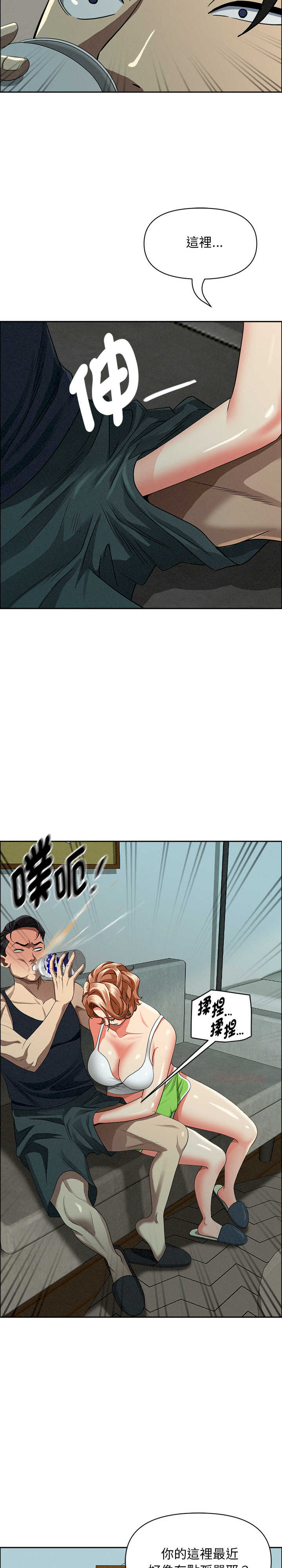 贵妇的专属保镖