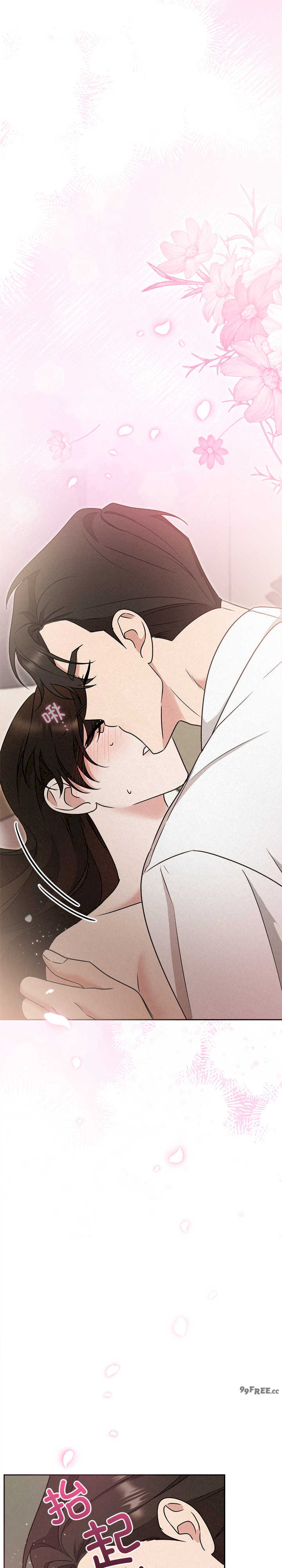 吞噬暗夜/被吞噬的夜