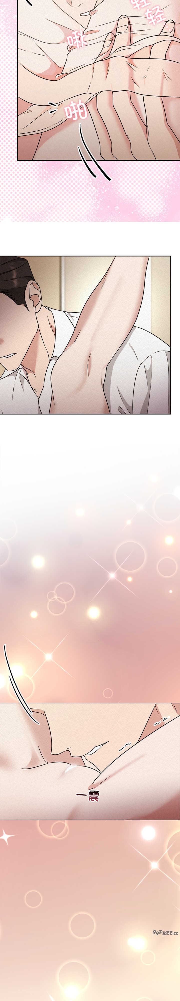 吞噬暗夜/被吞噬的夜