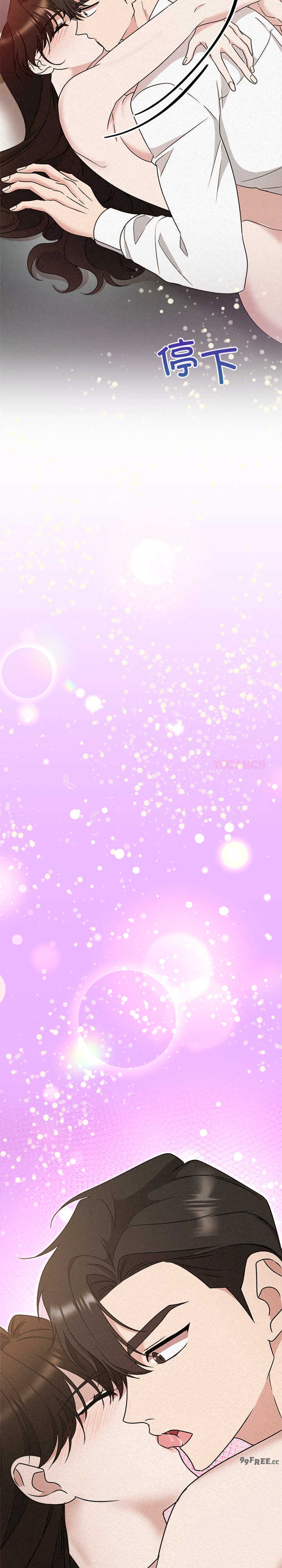 吞噬暗夜/被吞噬的夜