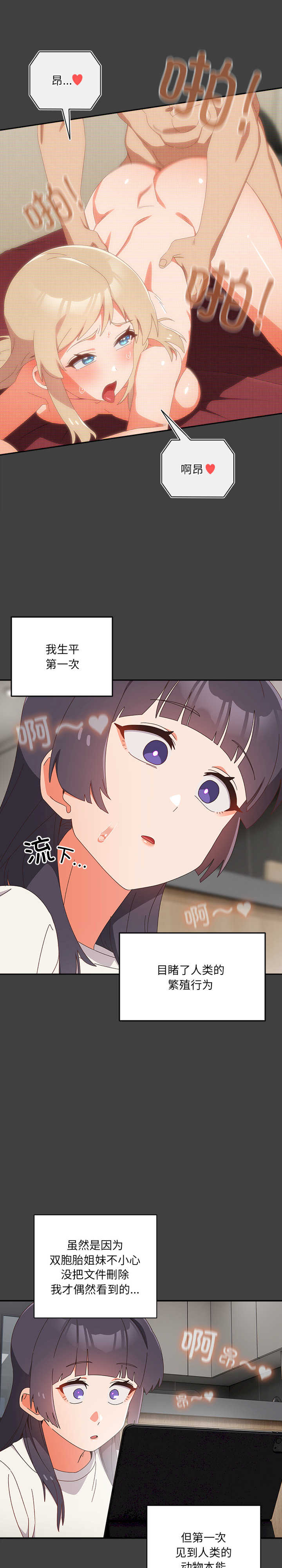 与众不同的兄妹/我家的掌上明珠