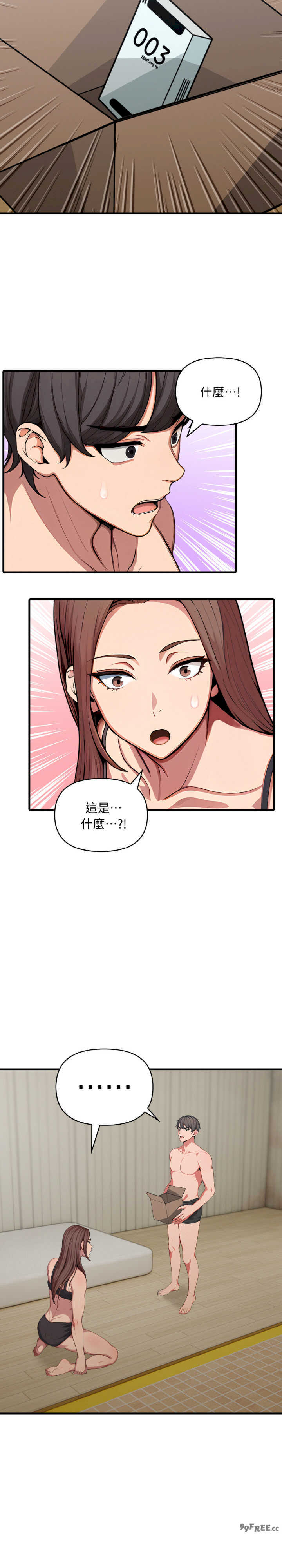 与陌生人的真人秀