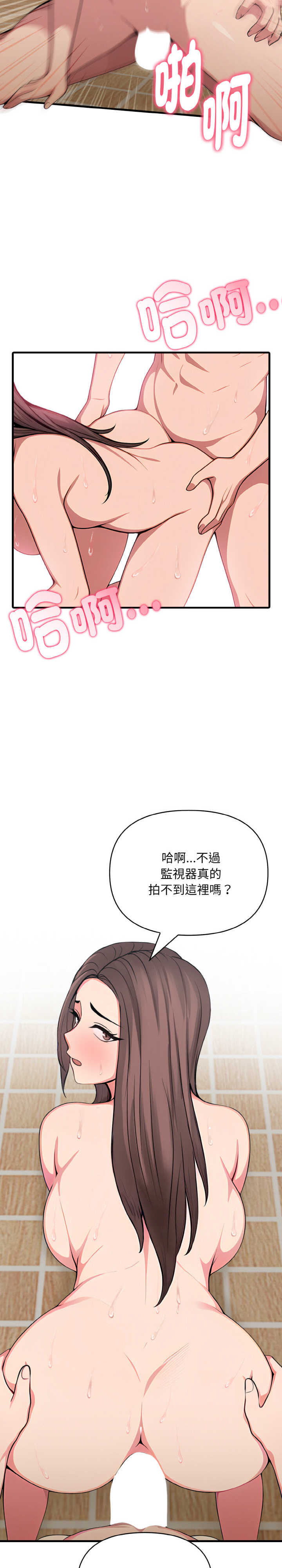 与陌生人的真人秀