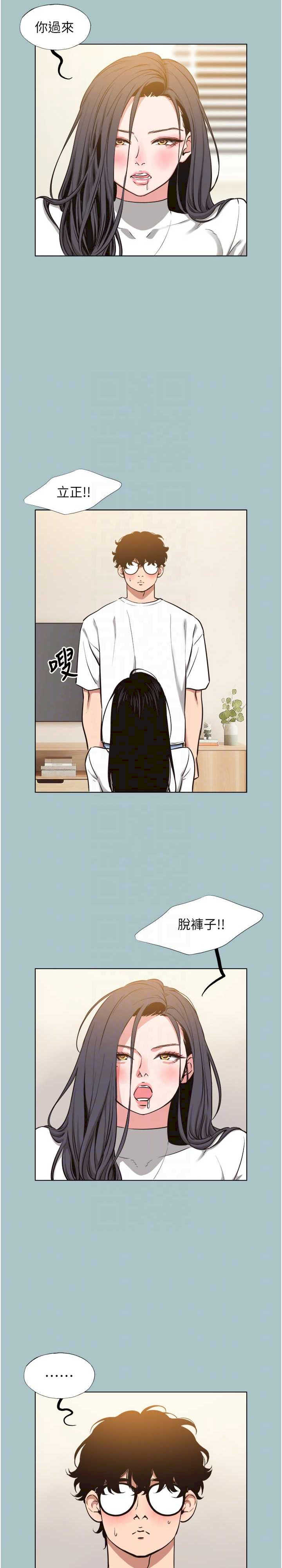 不要恋爱要打炮