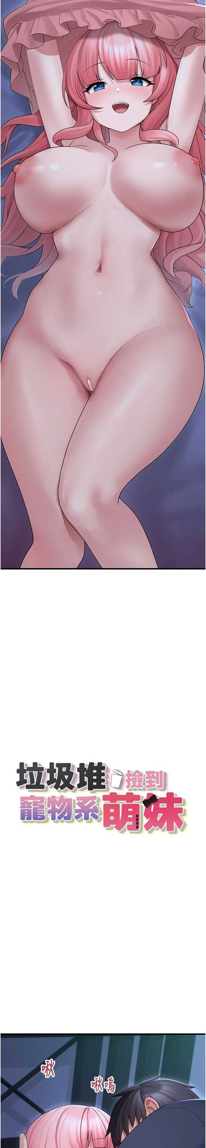 垃圾堆捡到宠物系萌妹