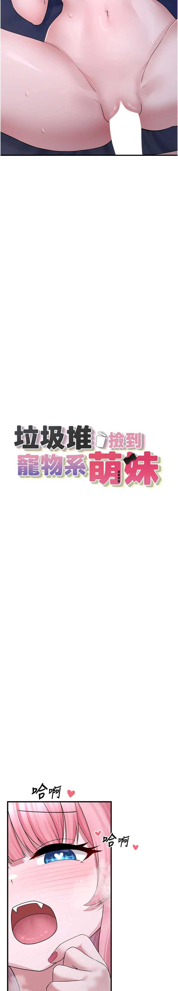 垃圾堆捡到宠物系萌妹