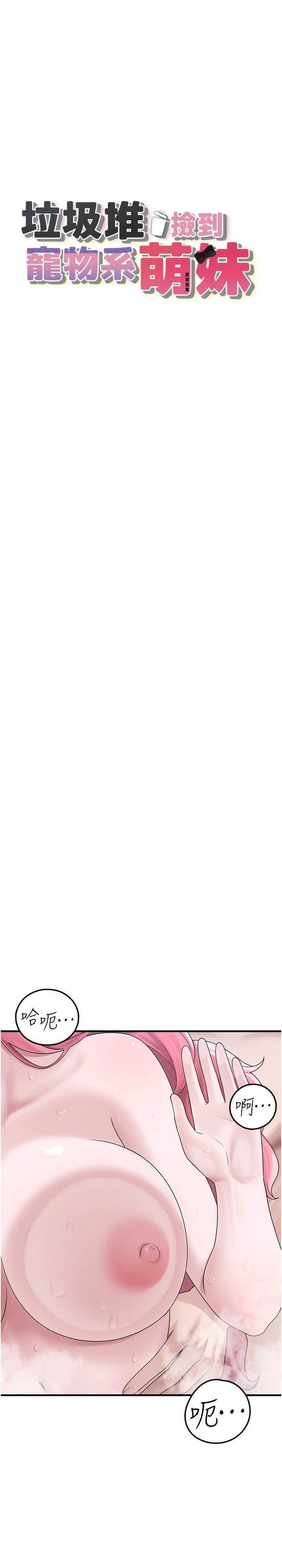 垃圾堆捡到宠物系萌妹