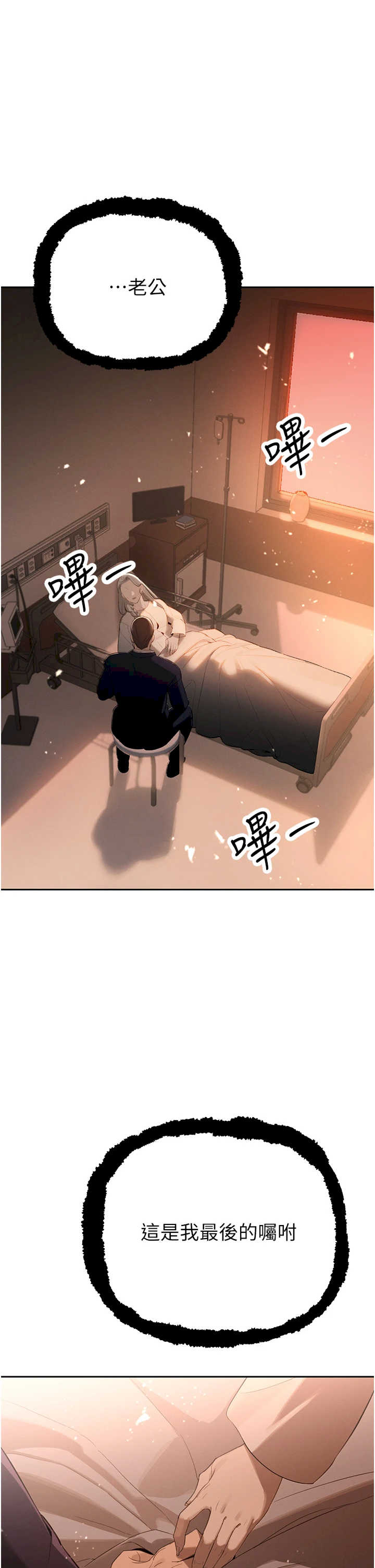 暴君会长的娇媳们