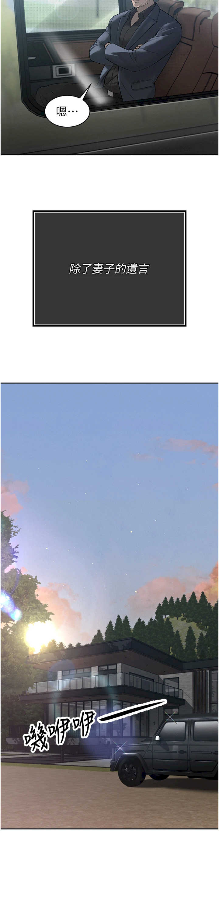 暴君会长的娇媳们