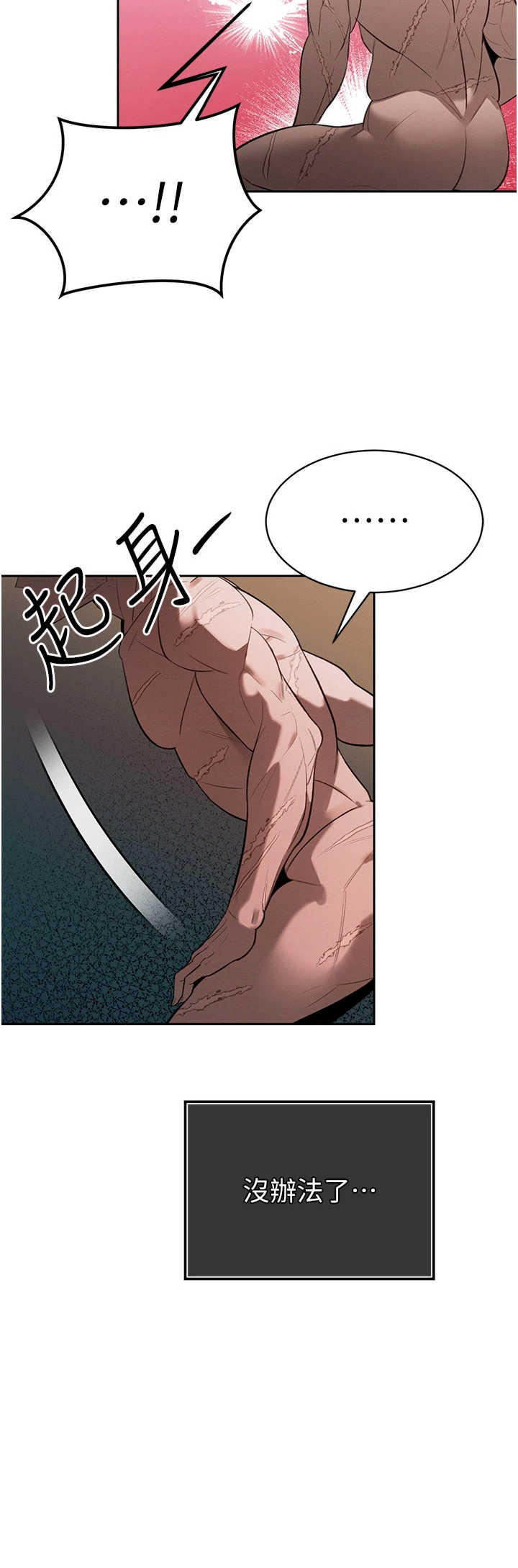 暴君会长的娇媳们