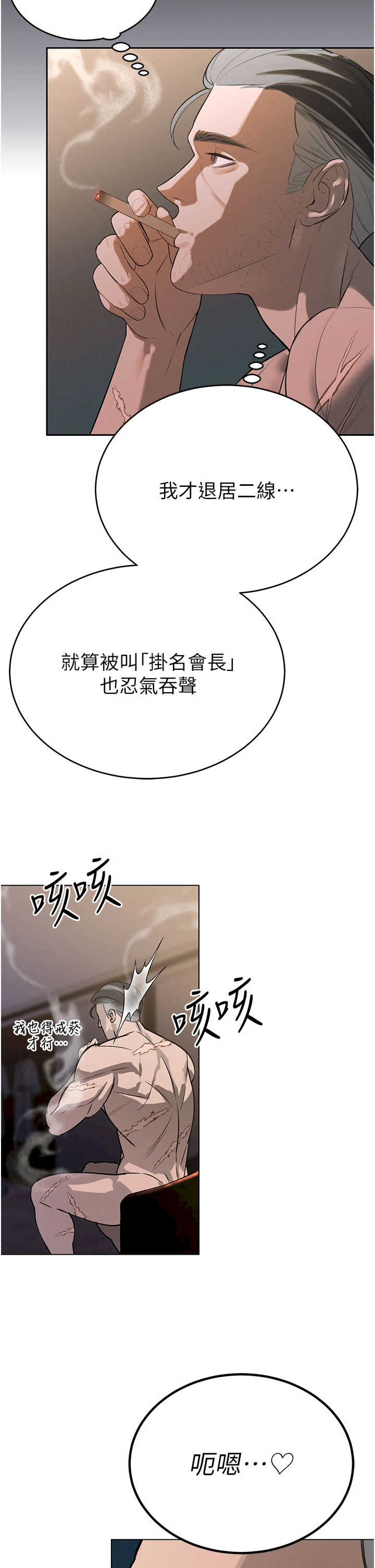 暴君会长的娇媳们