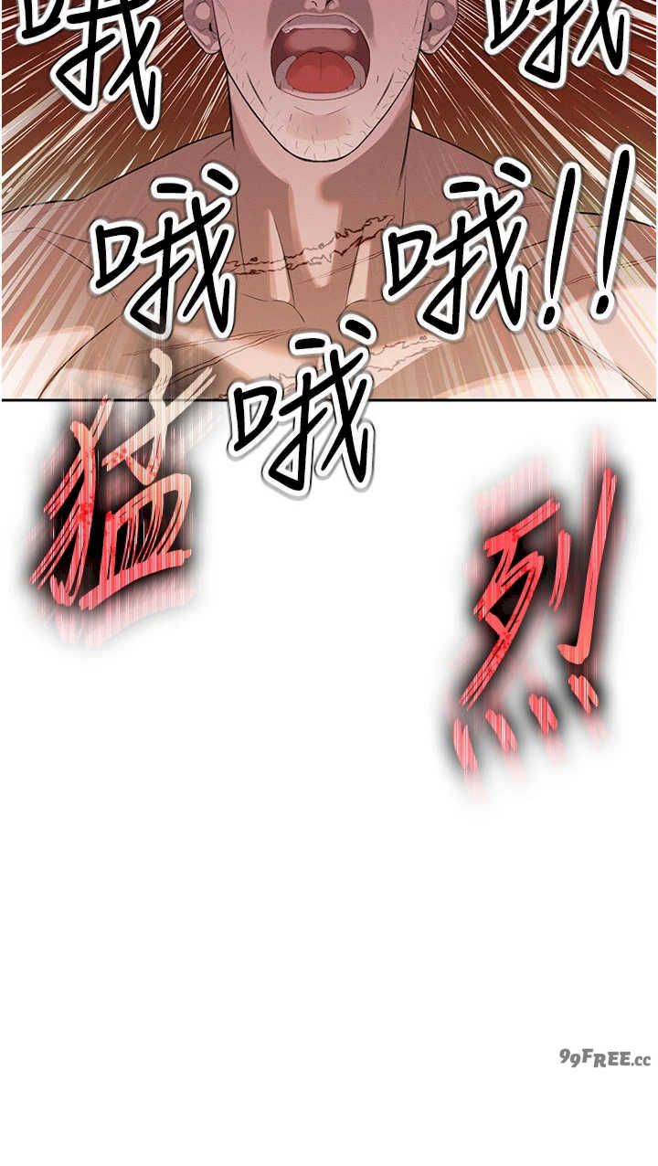 暴君会长的娇媳们