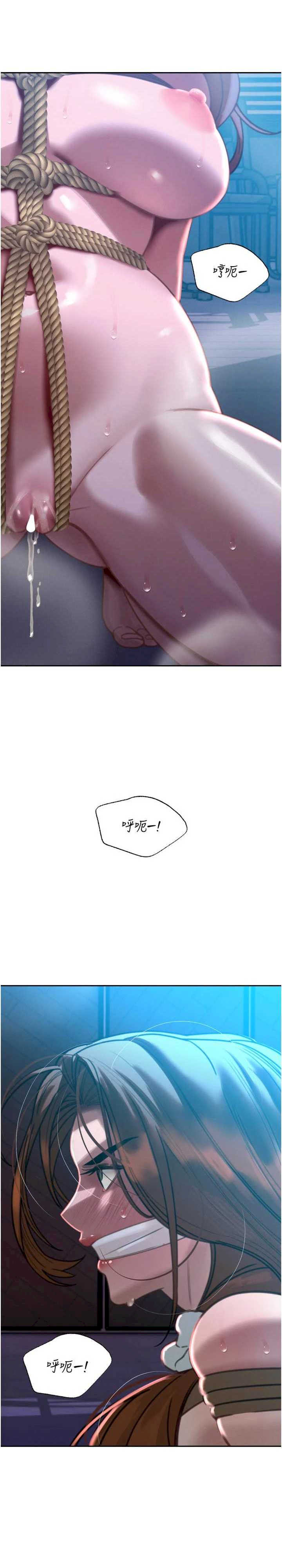 暴君会长的娇媳们