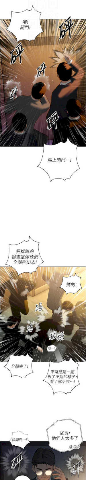 暴君会长的娇媳们