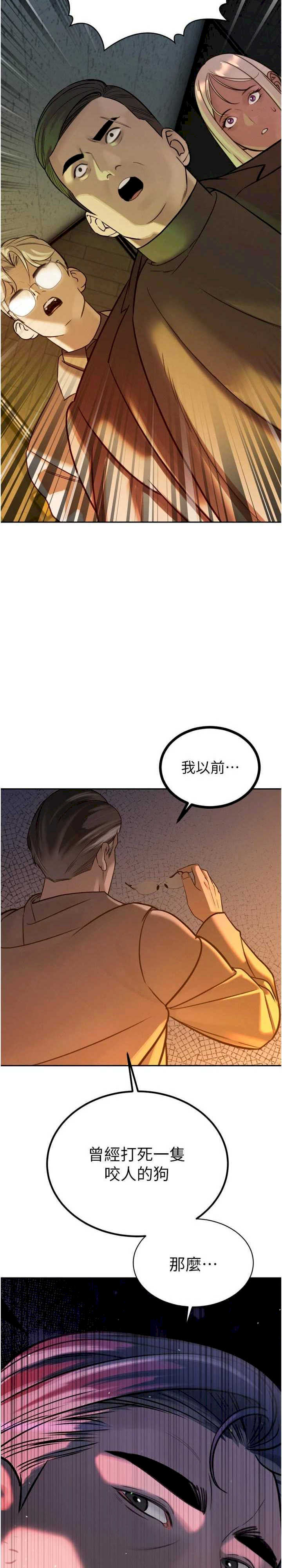 暴君会长的娇媳们