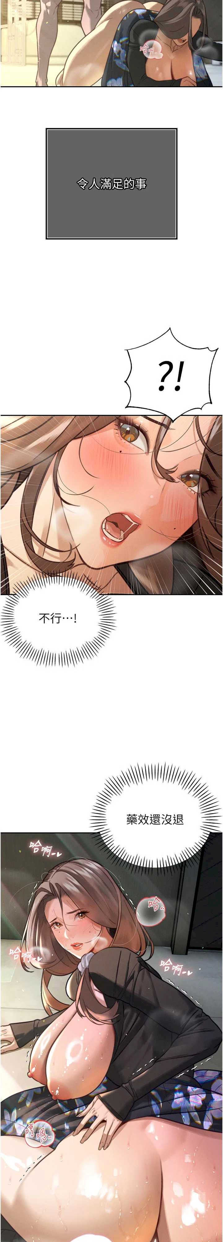 暴君会长的娇媳们