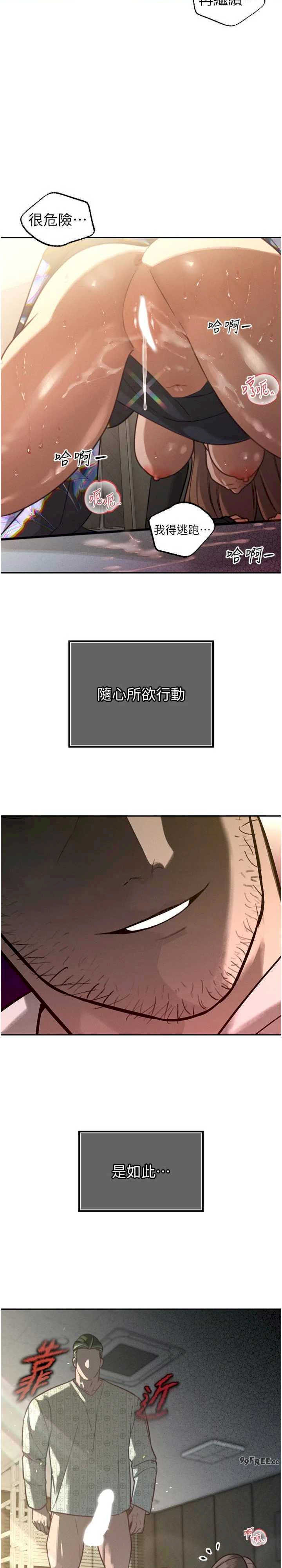 暴君会长的娇媳们