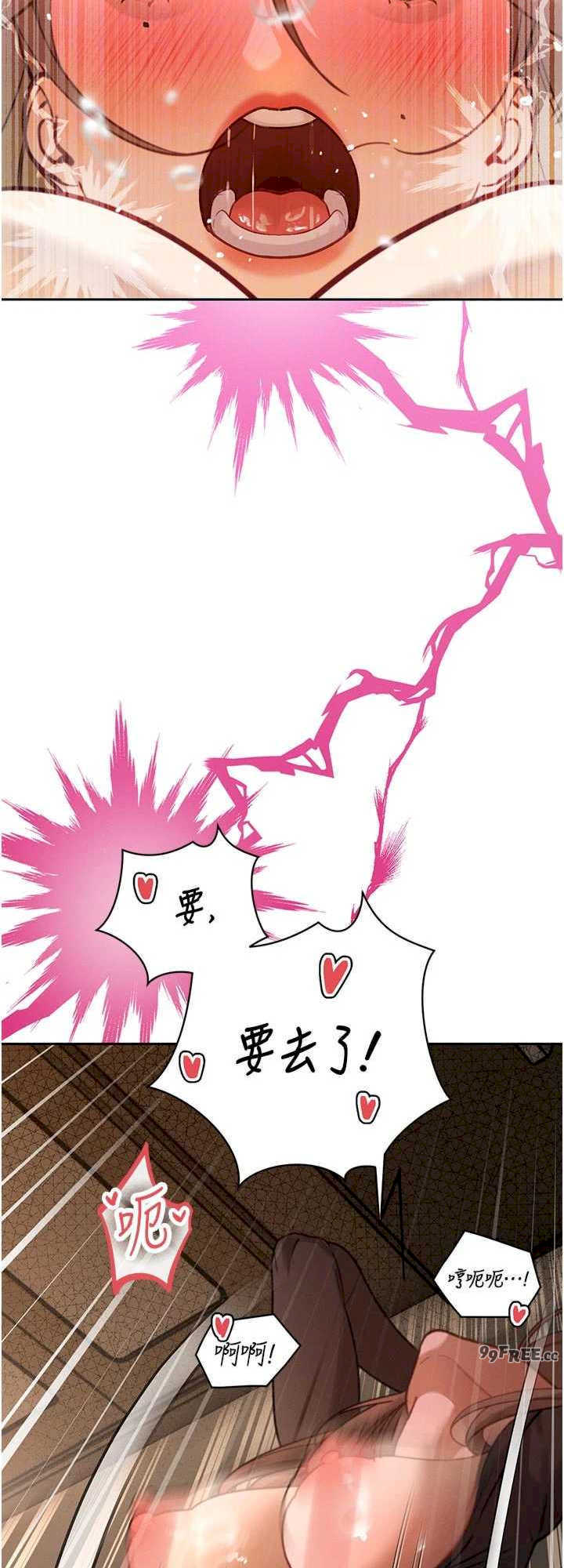 暴君会长的娇媳们