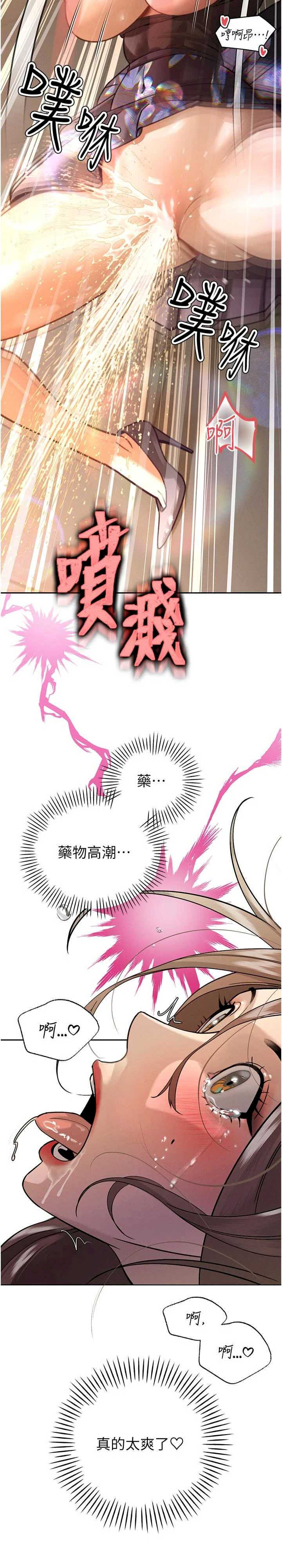 暴君会长的娇媳们