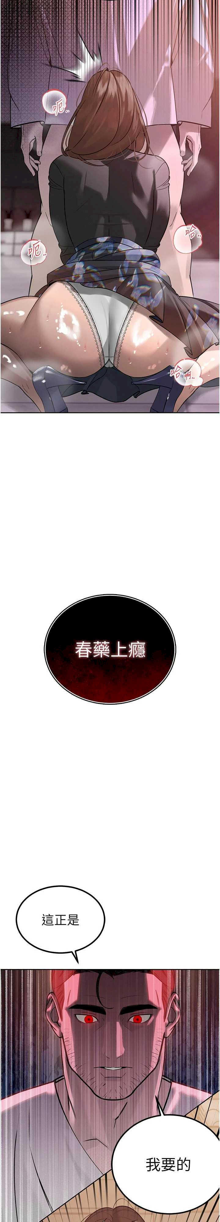 暴君会长的娇媳们