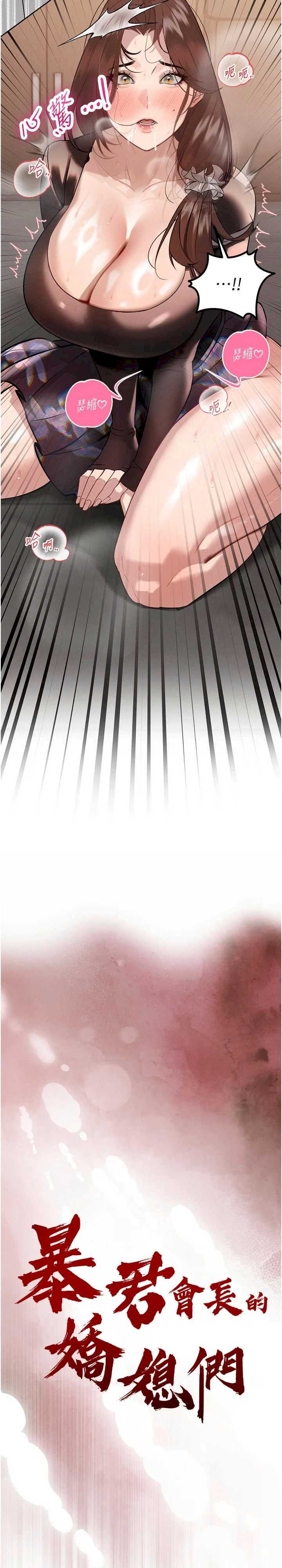 暴君会长的娇媳们