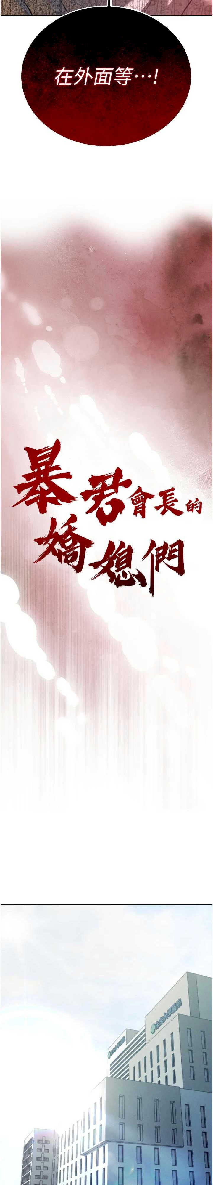 暴君会长的娇媳们