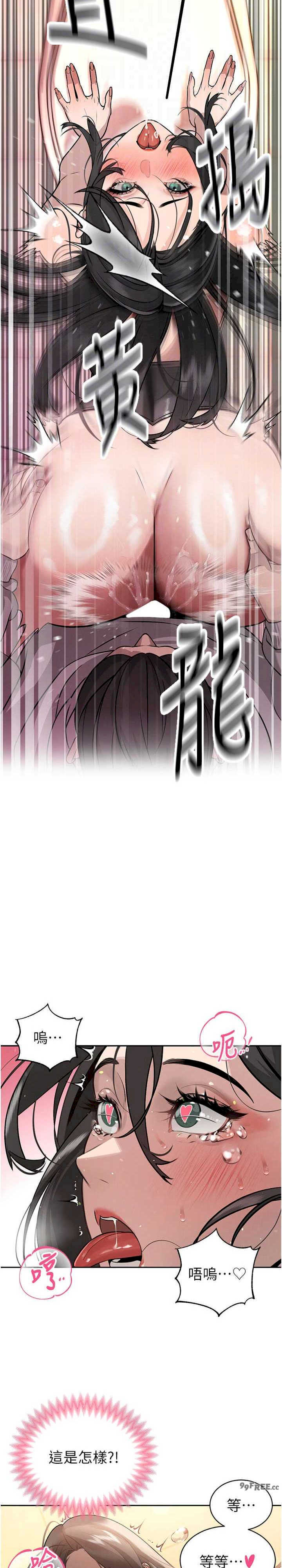 暴君会长的娇媳们