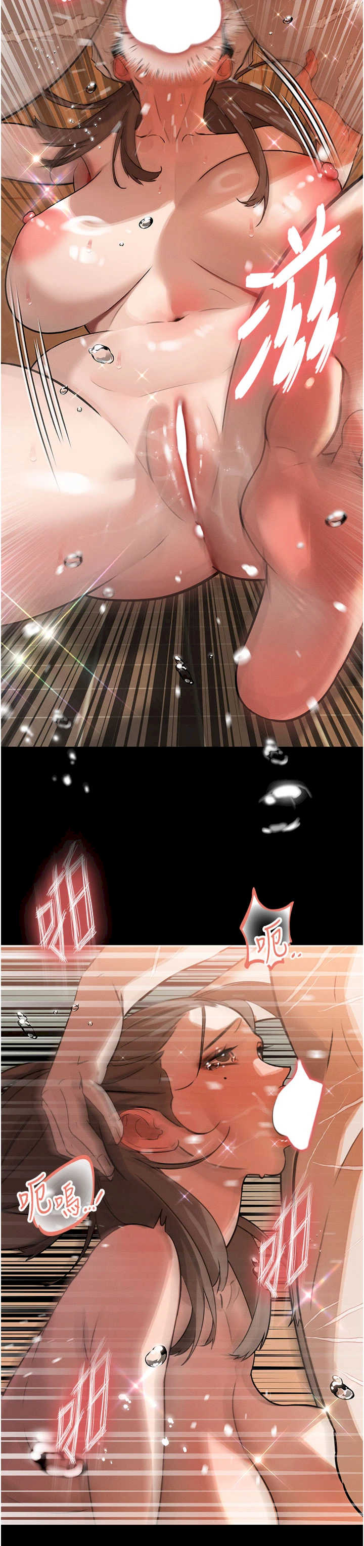 暴君会长的娇媳们