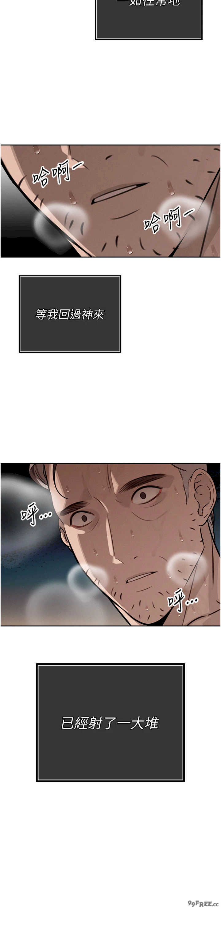 暴君会长的娇媳们