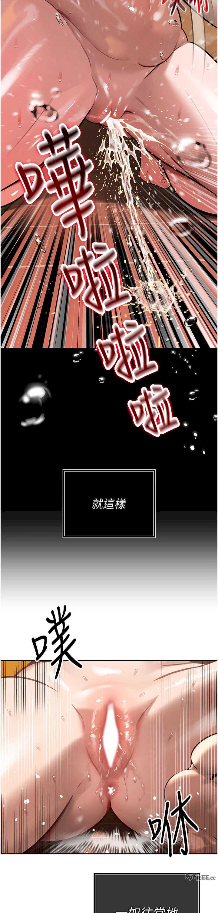 暴君会长的娇媳们