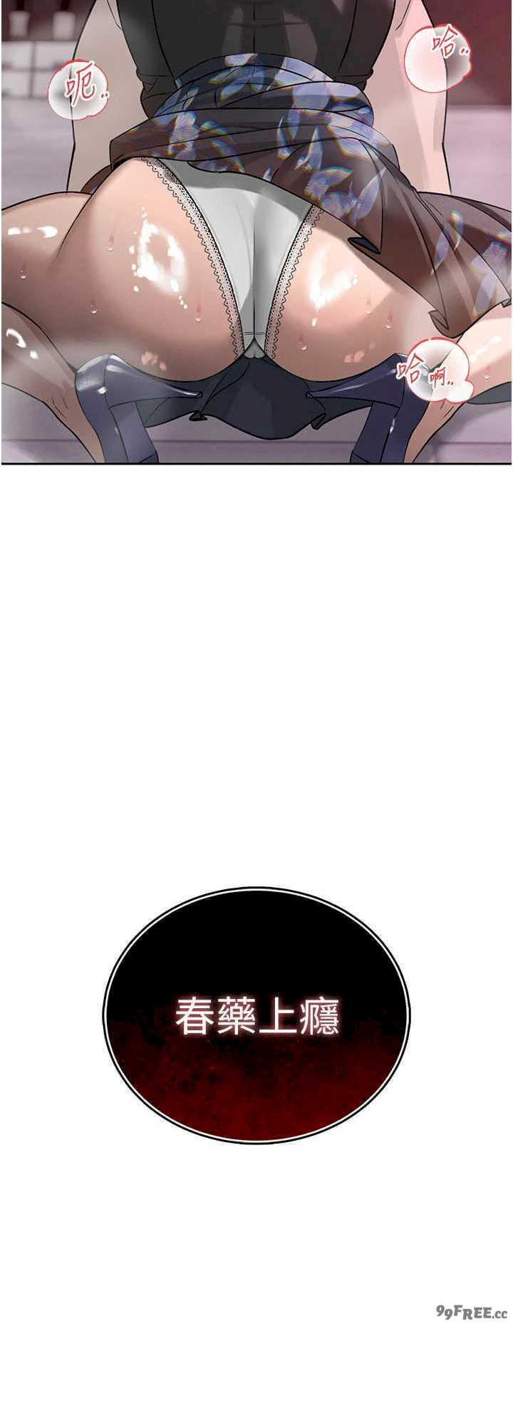 暴君会长的娇媳们