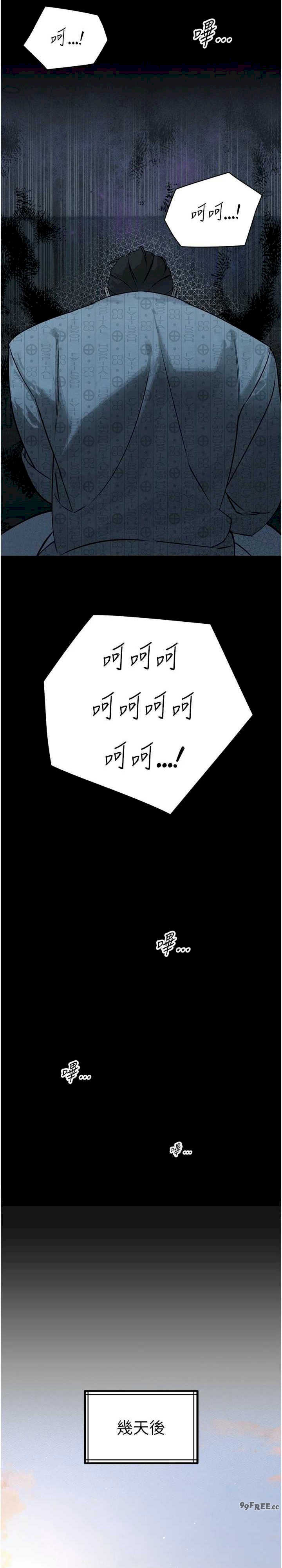 暴君会长的娇媳们