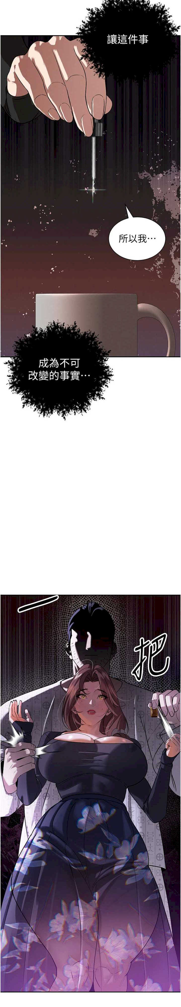 暴君会长的娇媳们