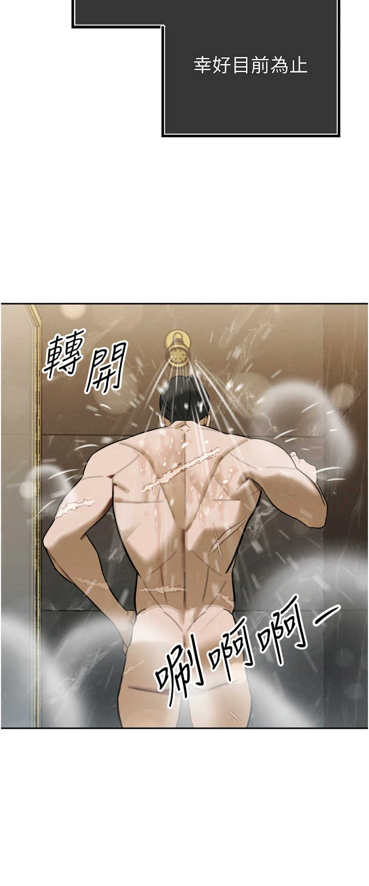 暴君会长的娇媳们