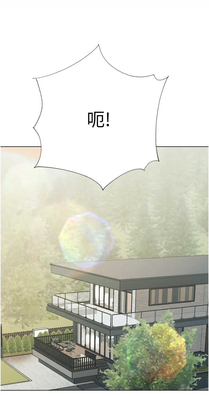 暴君会长的娇媳们