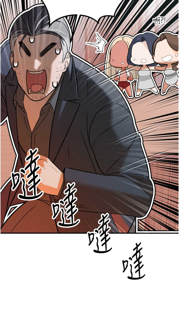 暴君会长的娇媳们