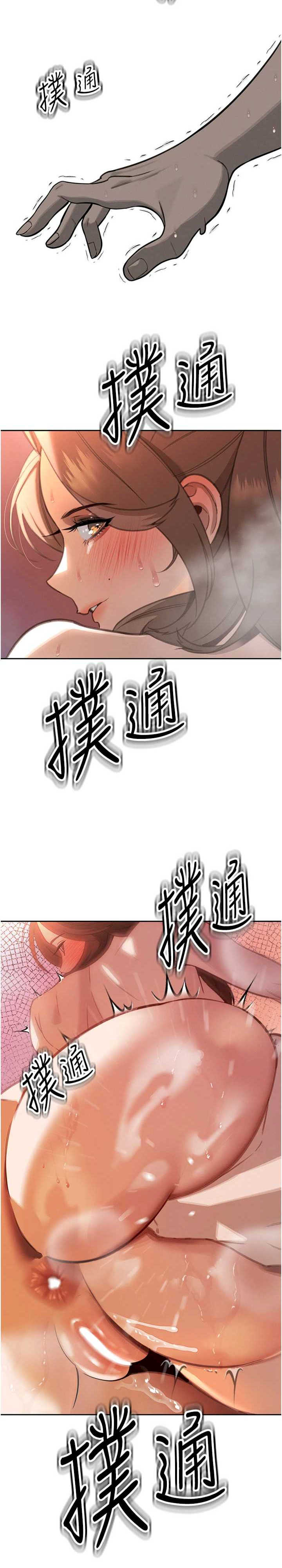 暴君会长的娇媳们