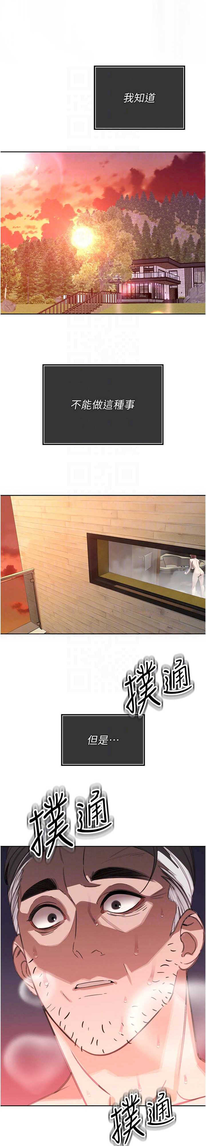 暴君会长的娇媳们