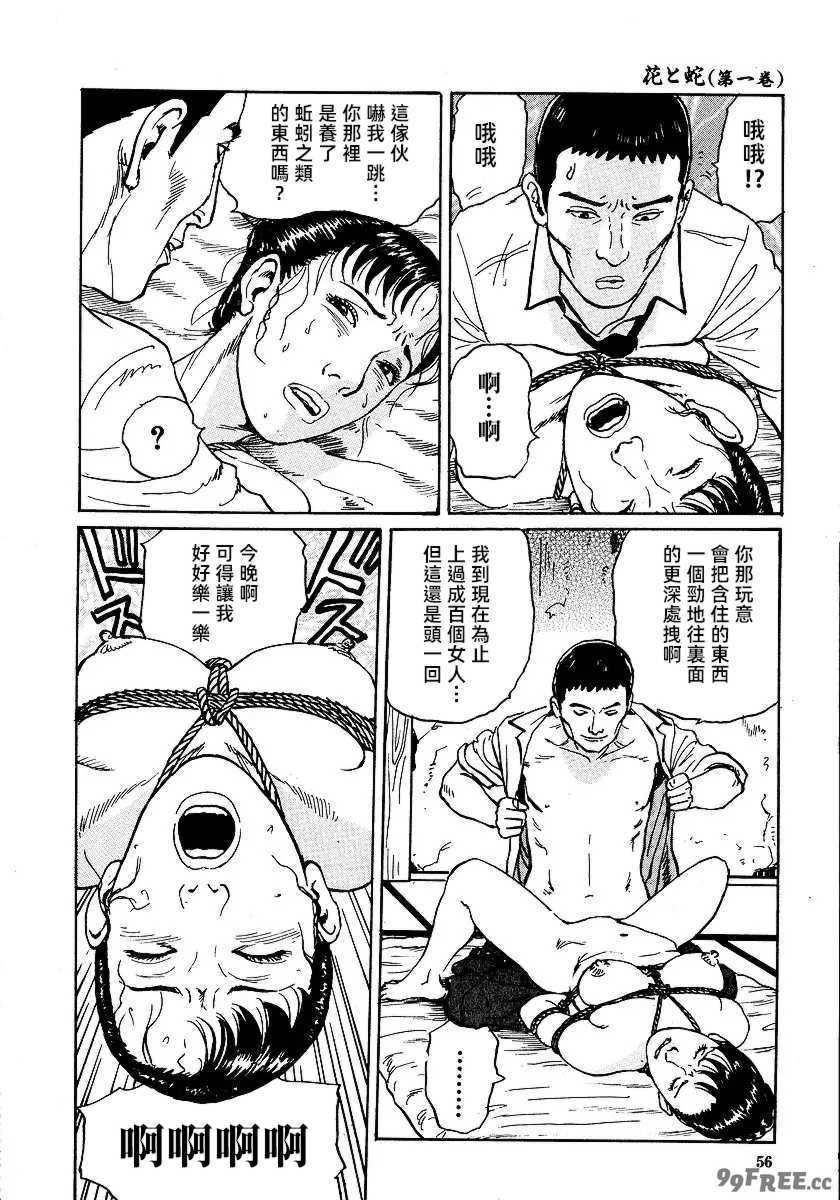 [長田要x団鬼六]花と蛇 第一集[大祭司汉化]