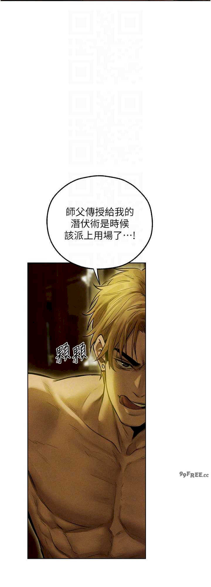 异界猎妻人/人妻猎人