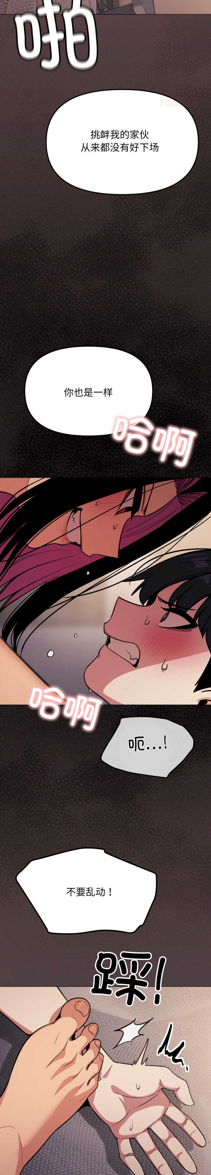 缺德邻居难相处