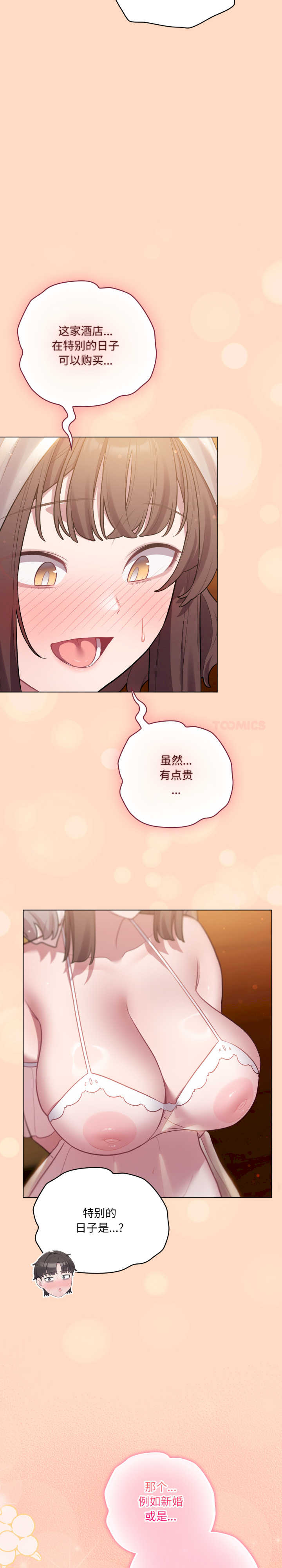 猫猫牵红线/喵来的恋爱