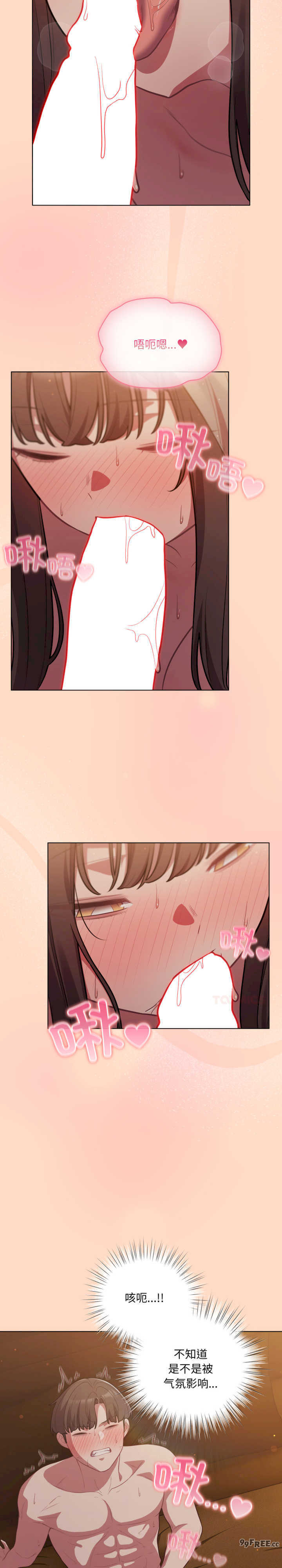 猫猫牵红线/喵来的恋爱