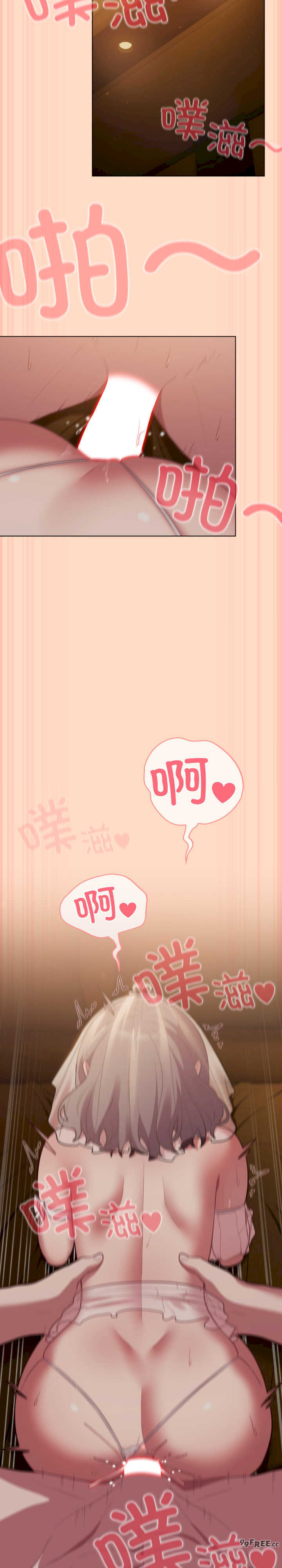 猫猫牵红线/喵来的恋爱